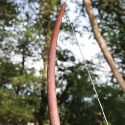 Arc Marksman Pour Re-enactment / GN, 50" (127 Cm) Brun Foncé, 25 Lbs 8 Arc Marksman Pour Re-enactment / GN, 50" (127 Cm) Brun Foncé, 25 Lbs -Halloween Boutique arc marksman pour re enactment gn 50 127 cm brun f 2