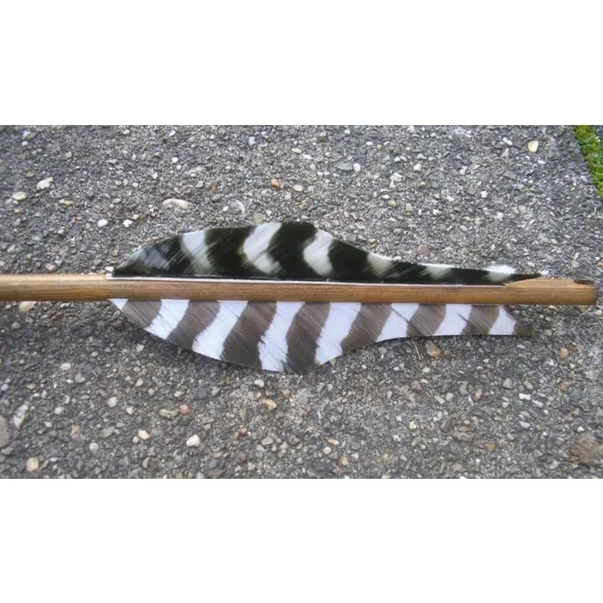 Flèche Germanique 3 Flèche Germanique – Image 3