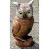 Hibou 3D