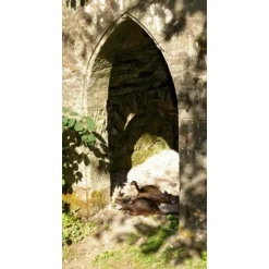 Le Rat Musqué 3D -Halloween Boutique le rat musque 3d 4