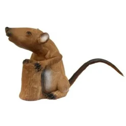 Le Rat Musqué Debout 3D