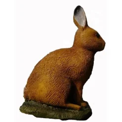 Lièvre IBB 3D Européenne