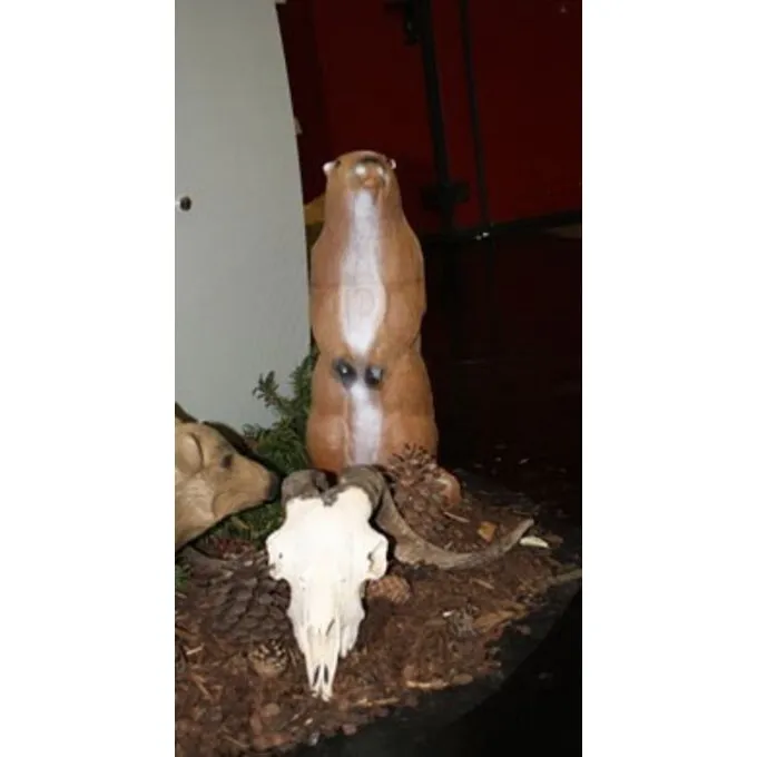 Marmotte Debout 3D 2 Marmotte Debout 3D – Image 2