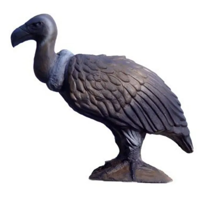 Vautour 3D 1 Vautour 3D