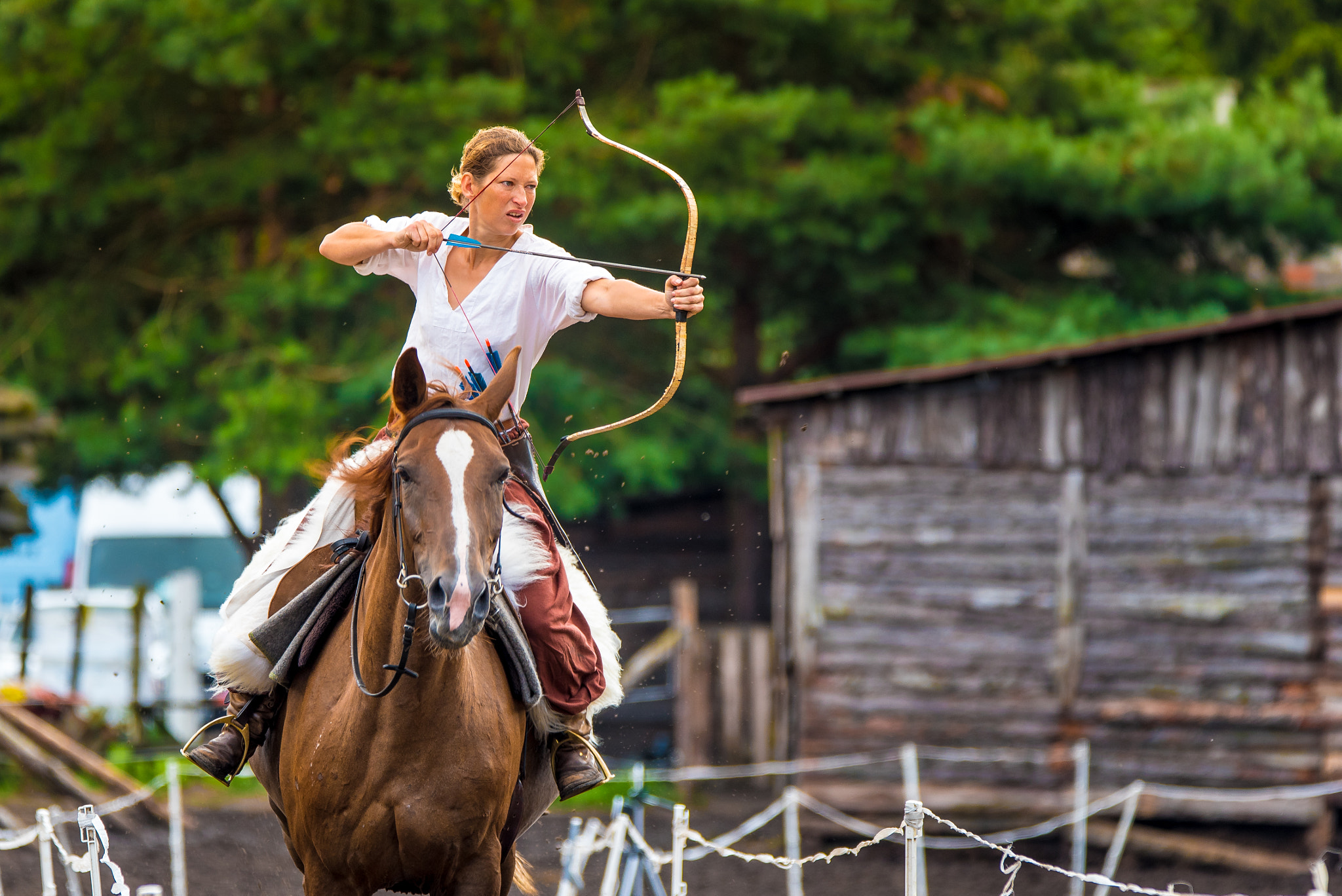 Halloween Boutique -Halloween Boutique Horseback Archery 195889659