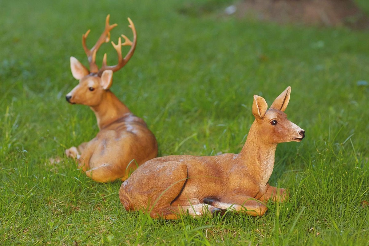 Halloween Boutique -Halloween Boutique s l1200 6